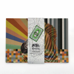 Shades of Africa Recycled Placemats - Lion, Zebra, Kudu & Wild Dog