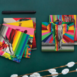 Wildlife in Colour Card Pack